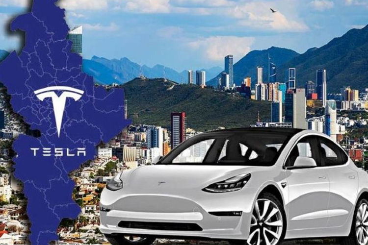 Cheap Tesla Electric Car Predicted to Come Early 2025 (Ruido)